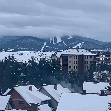 Rujno