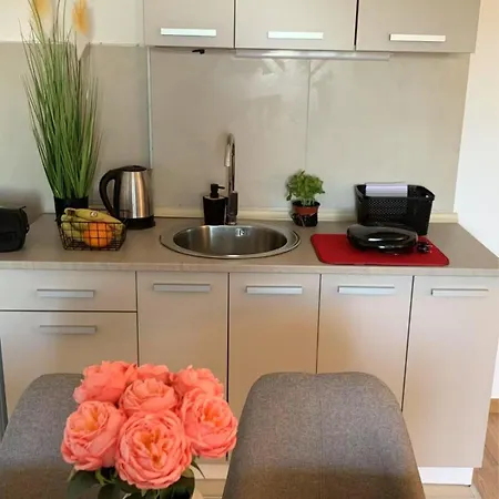 Rujno Apartment *